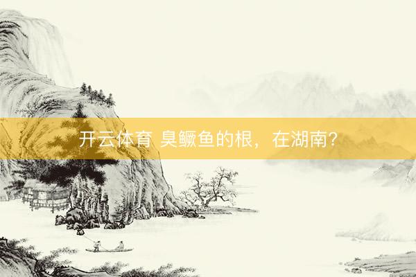 开云体育 臭鳜鱼的根，在湖南?