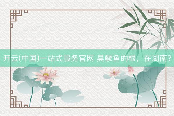 开云(中国)一站式服务官网 臭鳜鱼的根，在湖南?