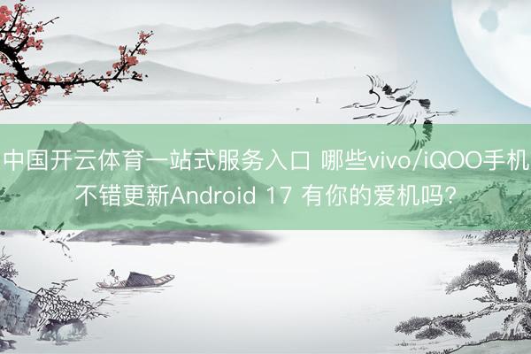 中国开云体育一站式服务入口 哪些vivo/iQOO手机不错更新Android 17 有你的爱机吗?