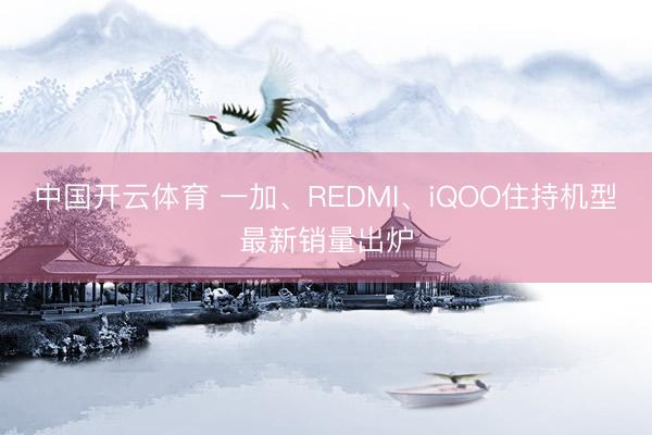 中国开云体育 一加、REDMI、iQOO住持机型最新销量出炉