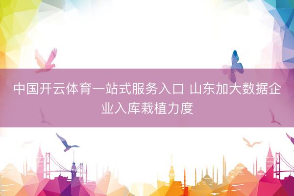 中国开云体育一站式服务入口 山东加大数据企业入库栽植力度