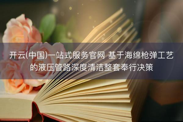 开云(中国)一站式服务官网 基于海绵枪弹工艺的液压管路深度清洁整套奉行决策