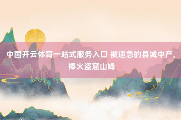 中国开云体育一站式服务入口 被逼急的县城中产， 捧火盗窟山姆