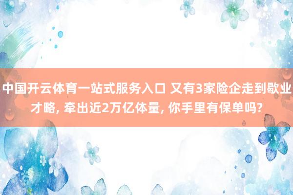 中国开云体育一站式服务入口 又有3家险企走到歇业才略, 牵出近2万亿体量, 你手里有保单吗?