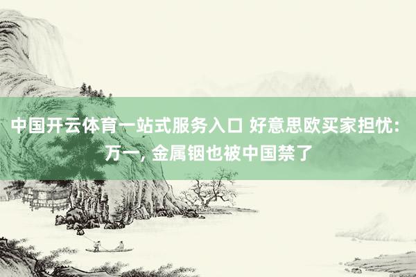 中国开云体育一站式服务入口 好意思欧买家担忧: 万一, 金属铟也被中国禁了